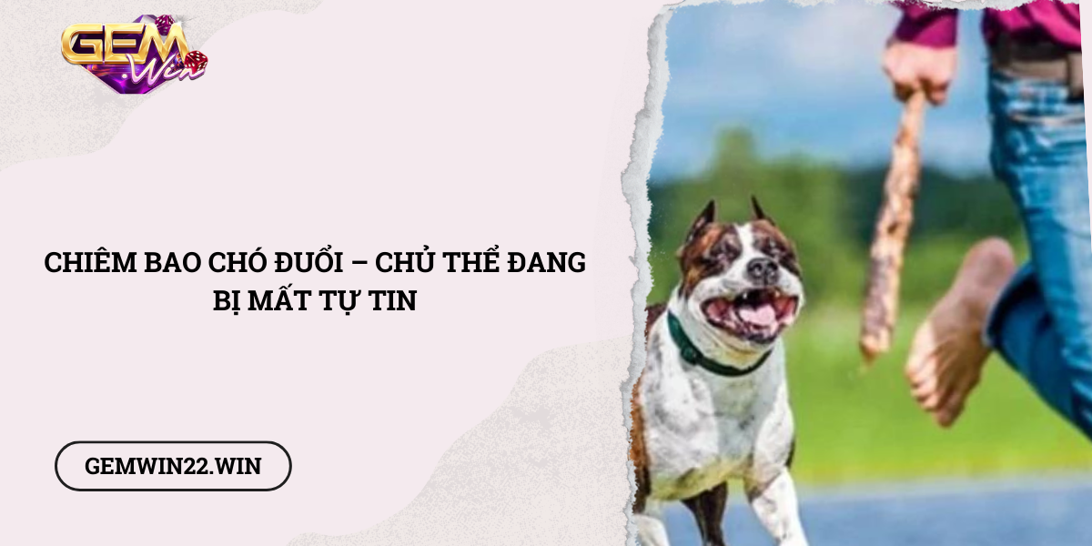 Chiem-bao-cho-duoi-Chu-the-dang-bi-mat-tu-tin